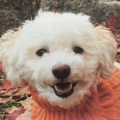 YooDoyle's profile picture. People say that I’m cute and I have good personality