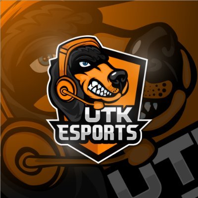 UTK Esports Profile