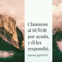 Nelson quiroga - @nelson_quiroga - Twitter