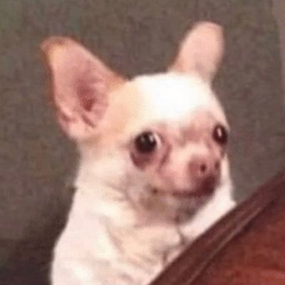 ladebacle's profile picture. 