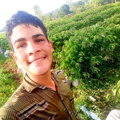 MuriloMendesSa2's profile picture. 14 yers
SPFC❤