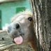 Newsreader (@ponypotater) Twitter profile photo Newsreader (@ponypotater) Twitter profile photo