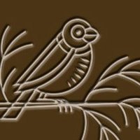 Cedar & Finch (@cedarandfinch) 's Twitter Profile