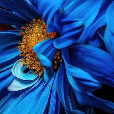 Me_dorsila's profile picture. If you haven't seen a good movie yet make one. 📽️📜