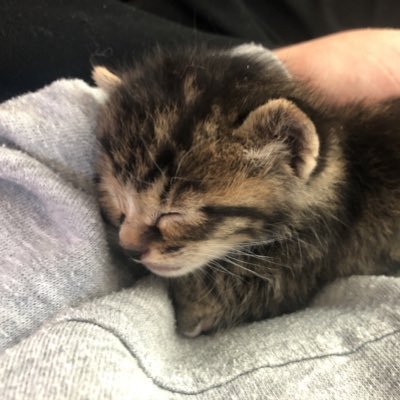 sore11nau25's profile picture. 