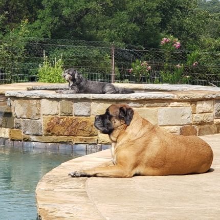 doublet07's profile picture. Seems harder and harder to filter through all the crap. Wreck 'em Texas Tech.