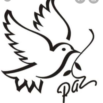 llum_nur's profile picture. Lawyer, musician, Chinese medicine therapist.