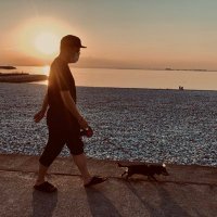 Narc (@narc2019) 's Twitter Profile