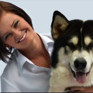 CleverPaws's profile picture. Professional full time Canine Behaviourist, business owner Clever Paws, enduro rider, beginner triathlete. http://t.co/5Hv8nddo