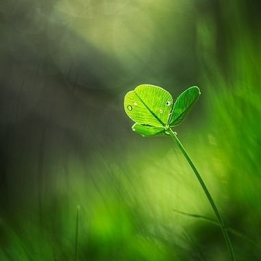 PYnxNbme9ZXX6IE's profile picture. 