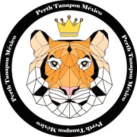 Perth Tanapon México🇲🇽 (@perthppe_mx) 's Twitter Profile