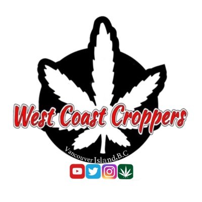 We are legal 🇨🇦 medical marijuana recipients & lovers of cannabis. These are our girls. Check out our Youtube channel for product review & grow tips