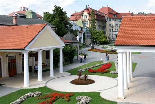 Prírodné liečivé zdroje – termálna minerálna voda a unikátne sírne liečivé bahno – boli základom pre vznik Piešťanských kúpeľov.