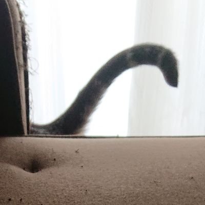 Kota2014729's profile picture. 