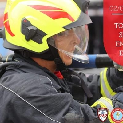 bomberos, canes