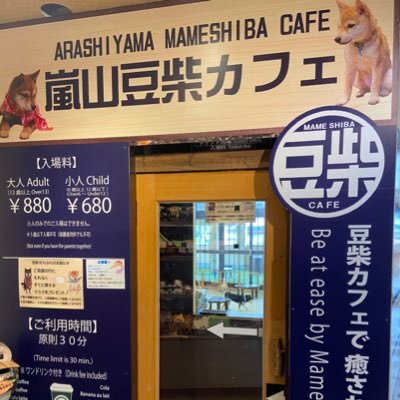 嵐山豆柴カフェ Arashiyama Mame Twitter