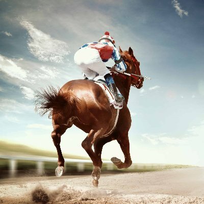 jsi_winner's profile picture. This is NOT a tipping service this is a trading service , simply bet high lay low we don’t guarantee winners we guarantee trades , all you need is betting acc