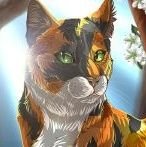 turtle_ily_UWU's profile picture. BLM, mod uses she/her pronouns