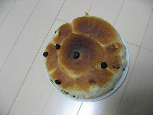 usaginolili's profile picture. 