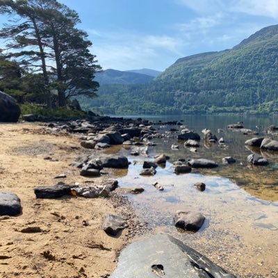 oconnor_donal's profile picture. 