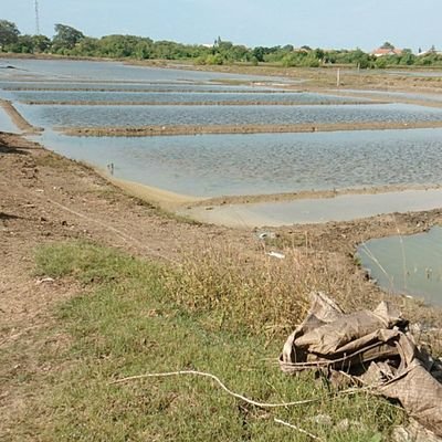 abduljamal20121's profile picture. masih bisa becanda