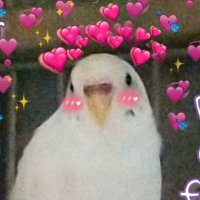 GG || Steff || Saw ATEEZ 8/3 (@_steffa_knee_) 's Twitter Profile