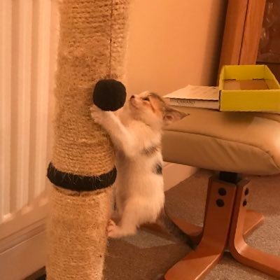 HollyAn74976346's profile picture. 