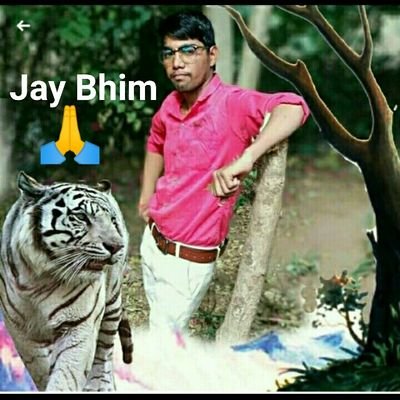 Jay Bhim 🙏