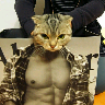 lanian21's profile picture. 젤라또/창원/락발라드/구스띠모/솔로/당구/테라/음주가무/스포2