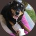 Lorene Scafaria (@lorenescafaria) Twitter profile photo Lorene Scafaria (@lorenescafaria) Twitter profile photo