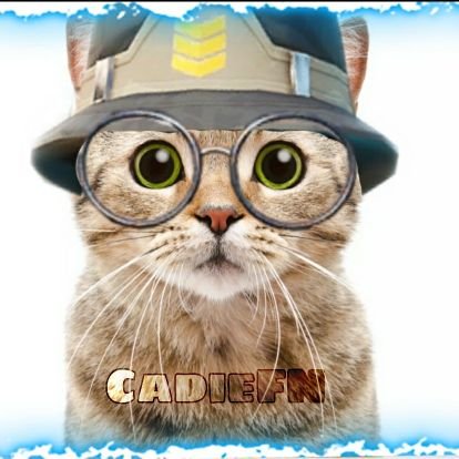 imtoy_lol's profile picture. im a ps4 player and if you could sub to my yt i would apriciate it's @imtoy


@qtlootzz