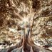 Daily Reflections (@evergreenposts) Twitter profile photo Daily Reflections (@evergreenposts) Twitter profile photo
