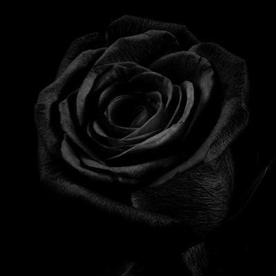 PrettyAmazGrace's profile picture. actress and greengrocer