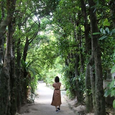 頑張る新卒日本語教師を応援しています⚐゙|新卒で日本語学校の常勤 ▶ 対面、ハイブリッド、オンライン、担任、全て経験 ▶ 2年半勤め退職 | 今は日本語教育業界にいません🕊……