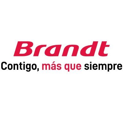 brandt_esp Profile Picture