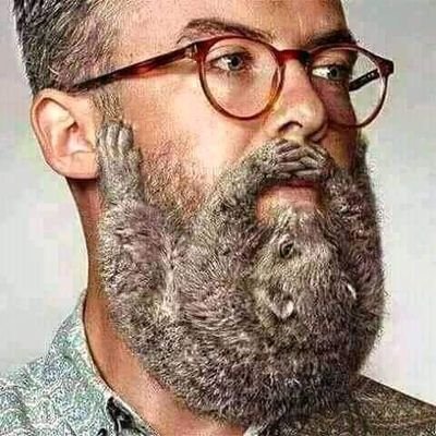 Kinyopi1's profile picture. culture