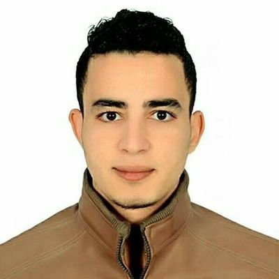 Mohamed Abdel Hamid Nassar Profile