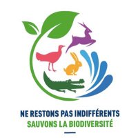 RIM Minstére de l’Environnement MEDD (@rim_medd) 's Twitter Profile