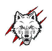 The White Wolves are an online gaming community primarily for MMORPGs SWTOR, LOTRO, AoC, TSW. But have have an active interest in all genres.