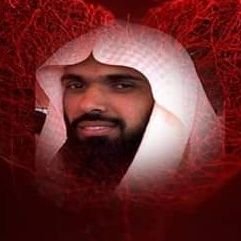 MolanaMuhimin's profile picture. 