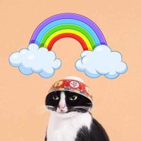 Ameh (@amehleameh) 's Twitter Profile