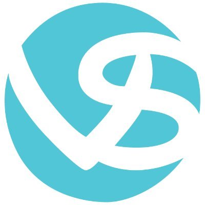 VSInfotech5 Profile Picture