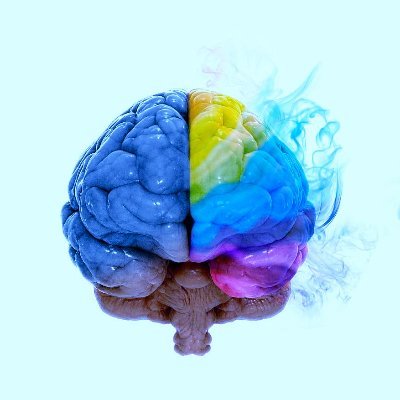 nottheonlynk's profile picture. NK | 22 |Curious guy with a thing for sci-fi (and recently fantasy). | Pronouns are he/him.