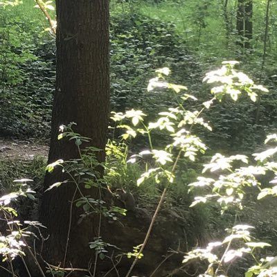 HP198989's profile picture. 🇬🇧