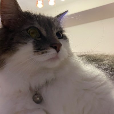 TAKEDASHIORIKUD's profile picture. 