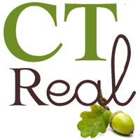 Find CT real estate from the CT Statewide MLS.  MLS real estate listings from a super simple search engine.  The official search engine of  @CTRealtors