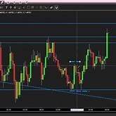 Marketing Analyst in Forex and Comex market providing signals and recommendations with proper Risk Management and Assistance