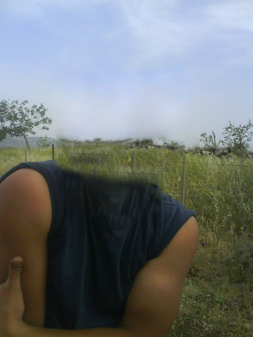 assafus's profile picture. live your life the best u can