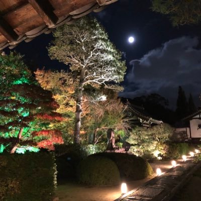 綺麗な風景・旅行・読書が好きです。
メンタルを安定させて日々を幸せに生きる事が当面の目標です。
心と体の健康を保つ為の考え方や方法を日々勉強中です。