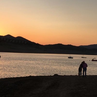 Lorosinfuturo's profile picture. 